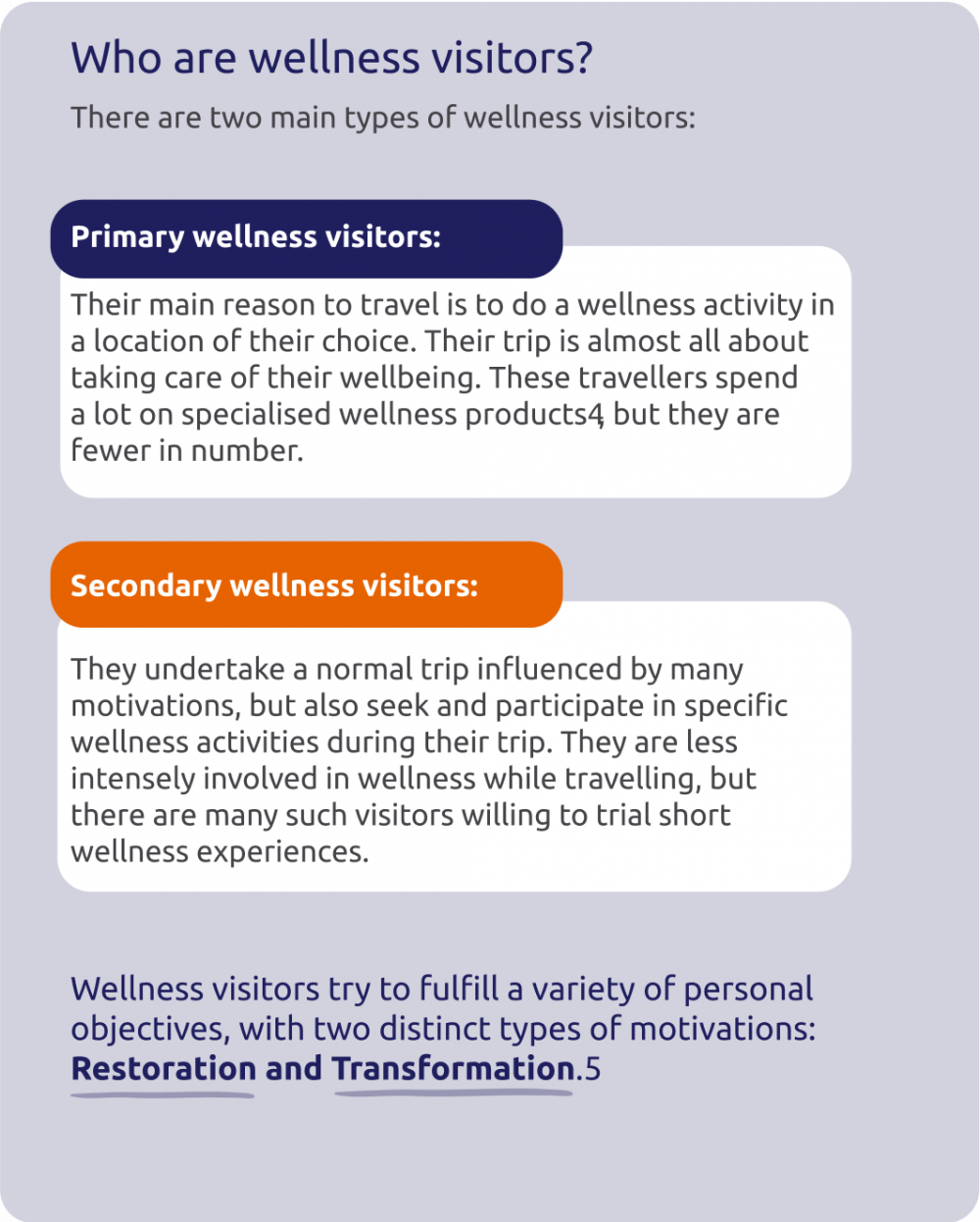 Who are wellness visitors?