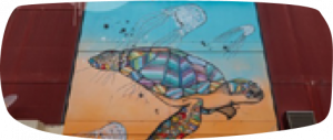 Greater region Darwin
