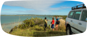 Kakadu Arnhem