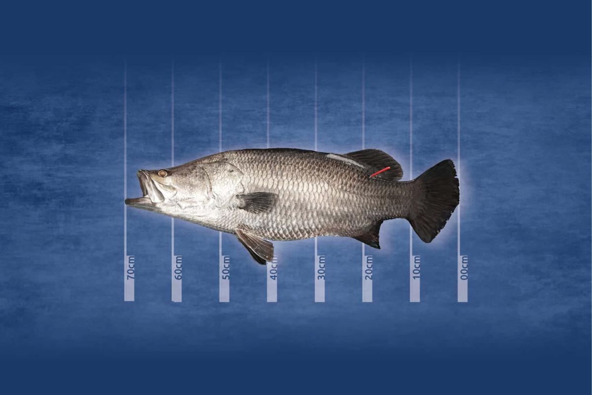 website-landscape-asset