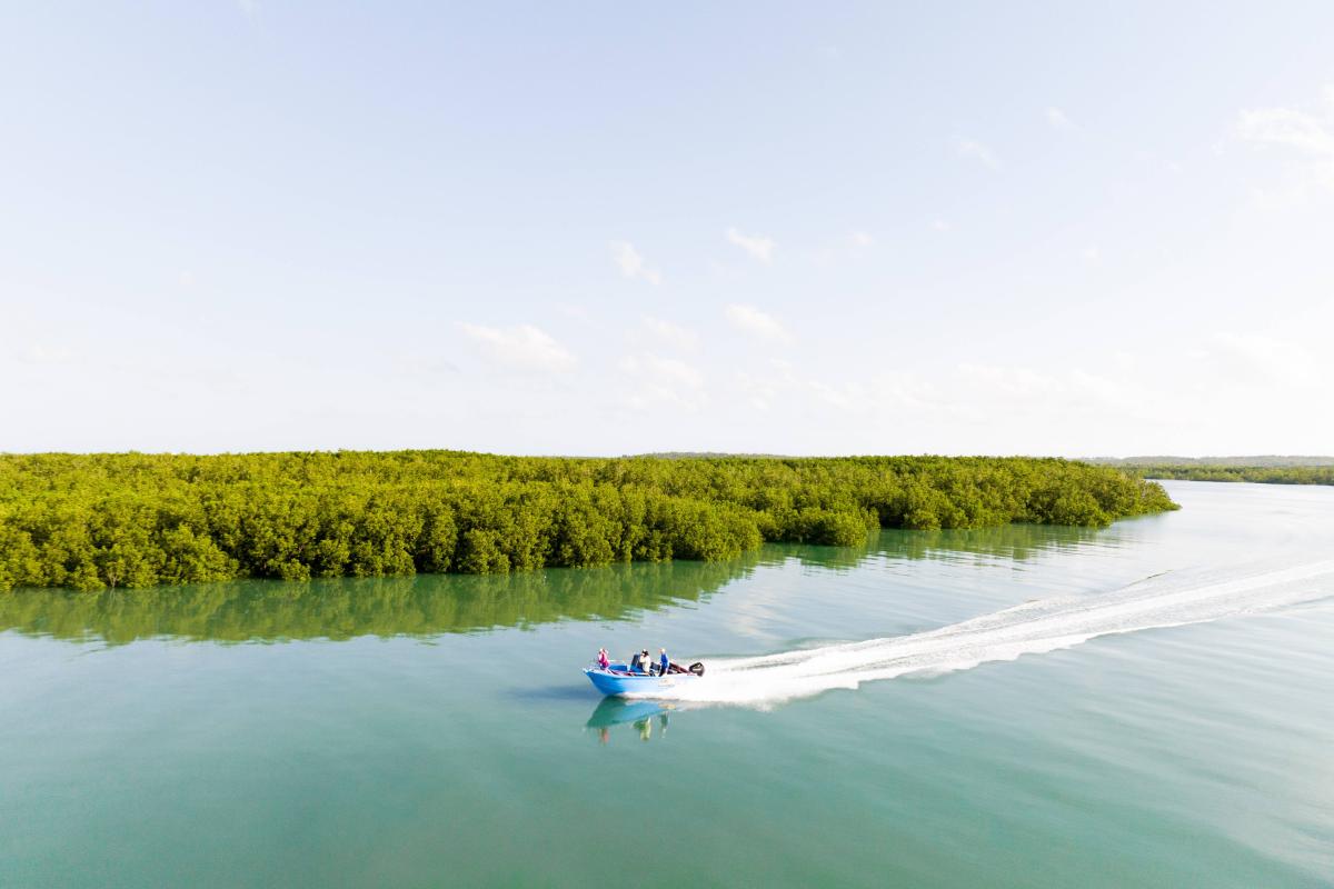 Mdfon Boat
