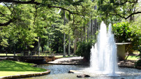 Botanic Gardens Water Feature