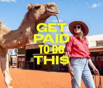 woman guiding camel