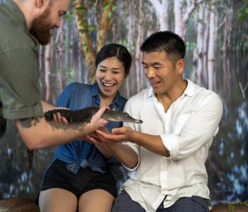 image of couple being shown a baby crocodile by a handler