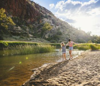 Domestic Distribution 