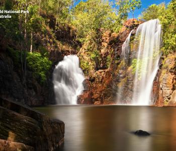 Zoom Florence Falls Backdrop