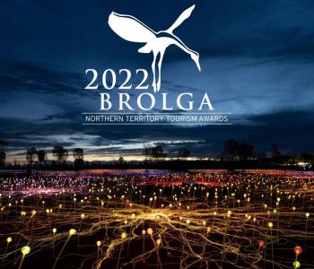 Brolga