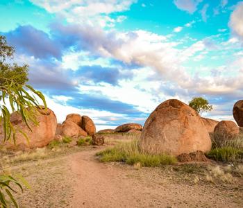 Barkly Region Landscape