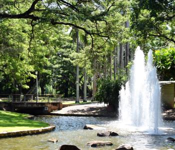 Botanic Gardens Water Feature