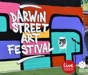 Darwin Street Art Festival Banner