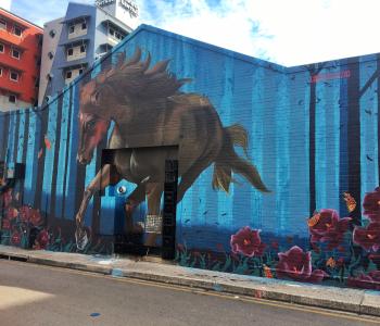 Darwin Street Art