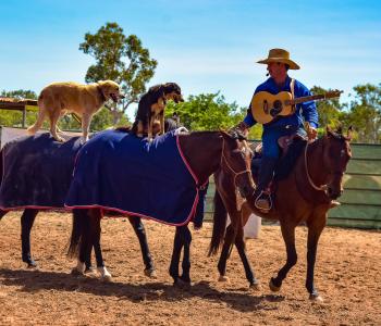 Horses and Dogs in Katherine Outback