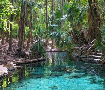 Mataranka Hot Springs