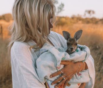 Person Holding a Baby Kangaroo