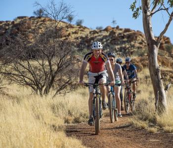 Mountain Bike Workshops