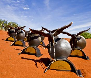 Brolga Awards 2016 Trophies