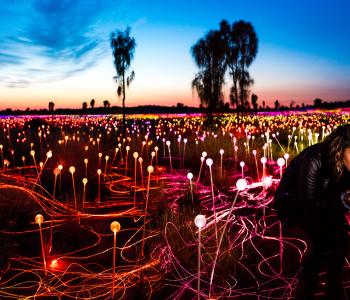 Field of Light in Uluru