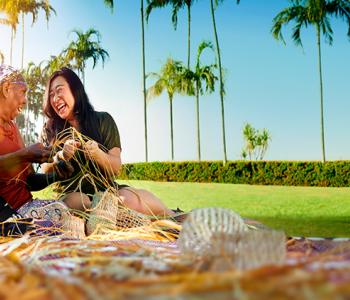 New NT Brand and 2030 Strategy Banner