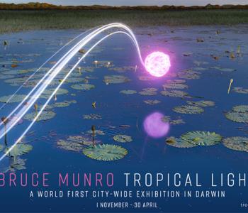 Tropical Light campaign