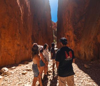 Standley Chasm/Angkerle Atwatye