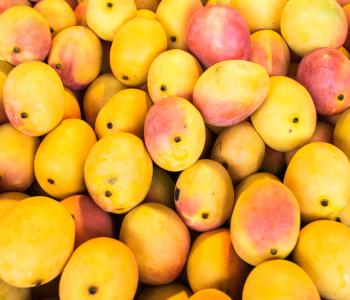 A colourful collection of mangoes