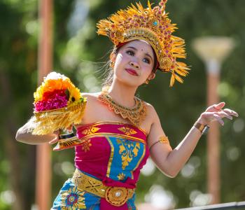 Big Day Out in Harmony