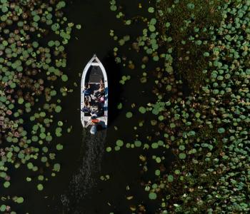Aerial view of dinghy on estuary