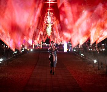 Flight, based on artwork Budgerigar Dreaming by Farron Jampitjinpa Furber