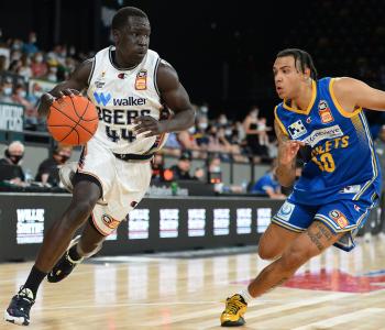 NBL Blitz - Brisbane v Adelaide