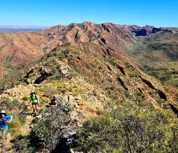 West Macs Monster Trail Running Festival 2 (1)