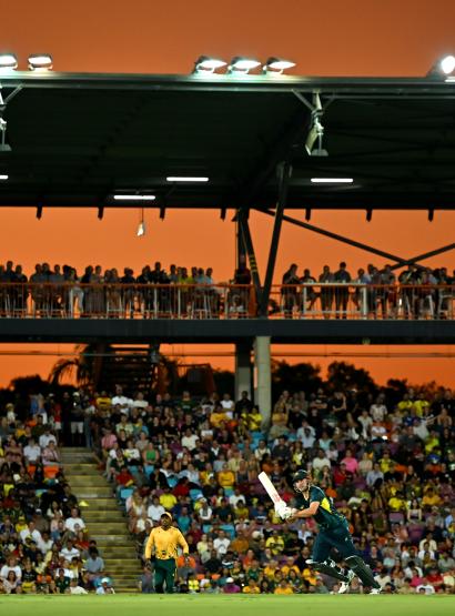 Cricket image