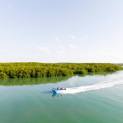 Mdfon Boat