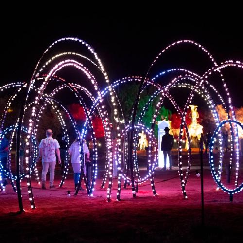 Parrtjima transforming light country installation