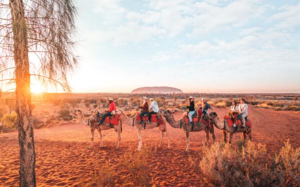 Red centre camel riding