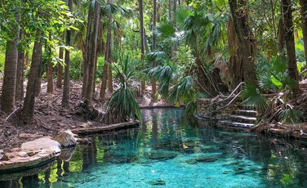 Mataranka Hot Springs