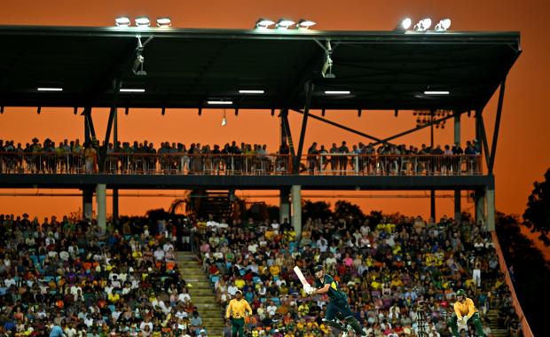 Cricket image