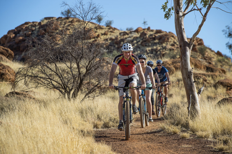 Mountain Bike Workshops
