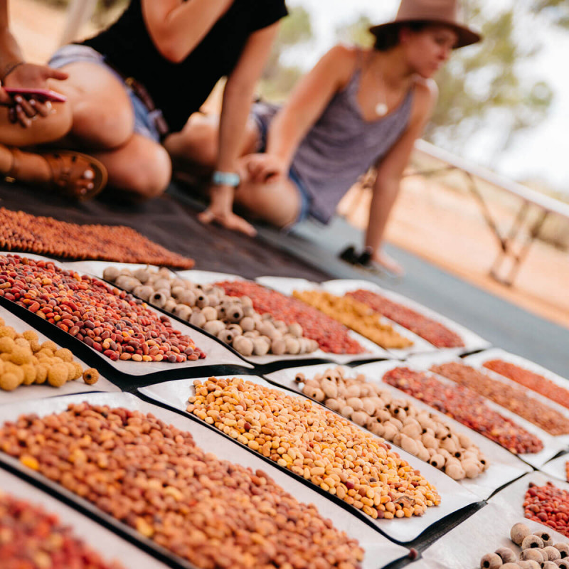 trays of bush seeds